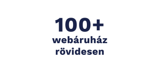 tobb-100-magyar-webaruhaz-rovidesen