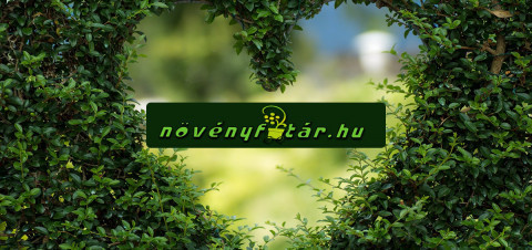 www.novenyfutar.hu-img